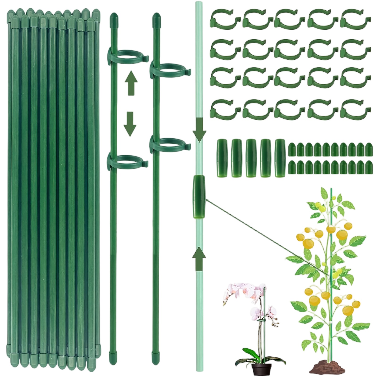 Supply For Florist - Plant Supports Rod Single Stem Shrub