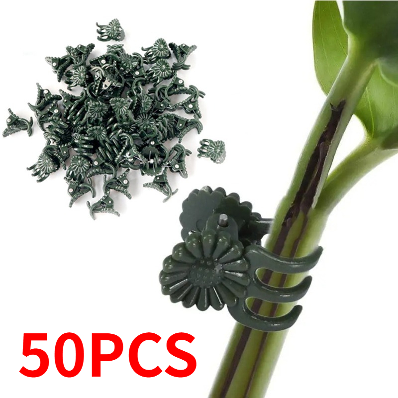 50PCS 5-Claw Dark Green Plant  - Supply For Florist review and price