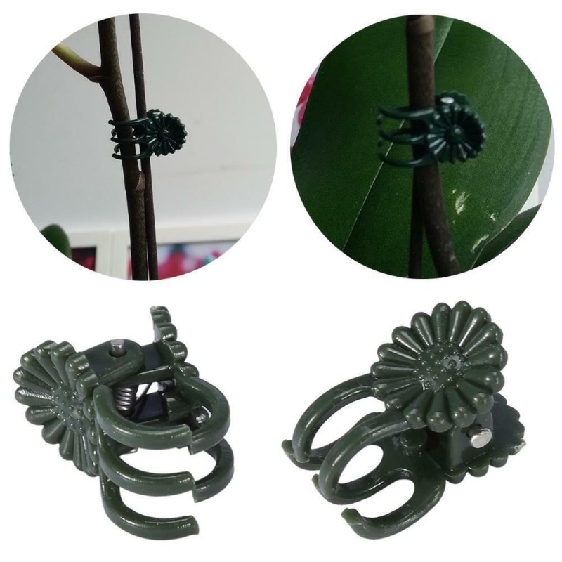 50PCS 5-Claw Dark Green Plant  - Supply For Florist review and price