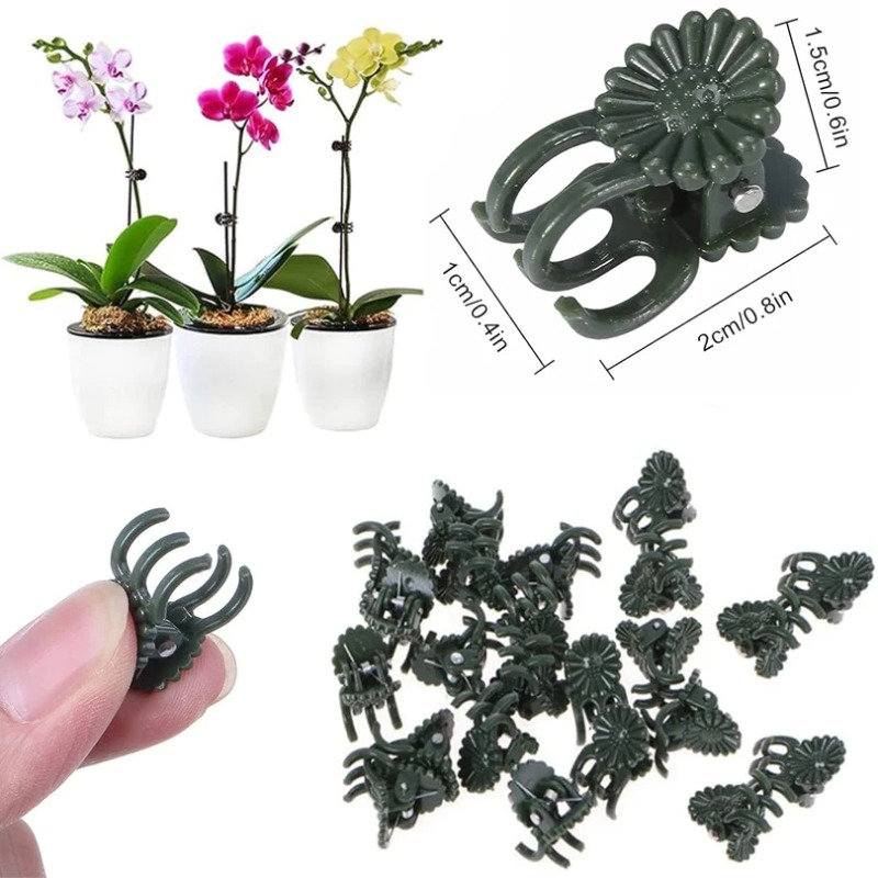 50PCS 5-Claw Dark Green Plant  - Supply For Florist review and price