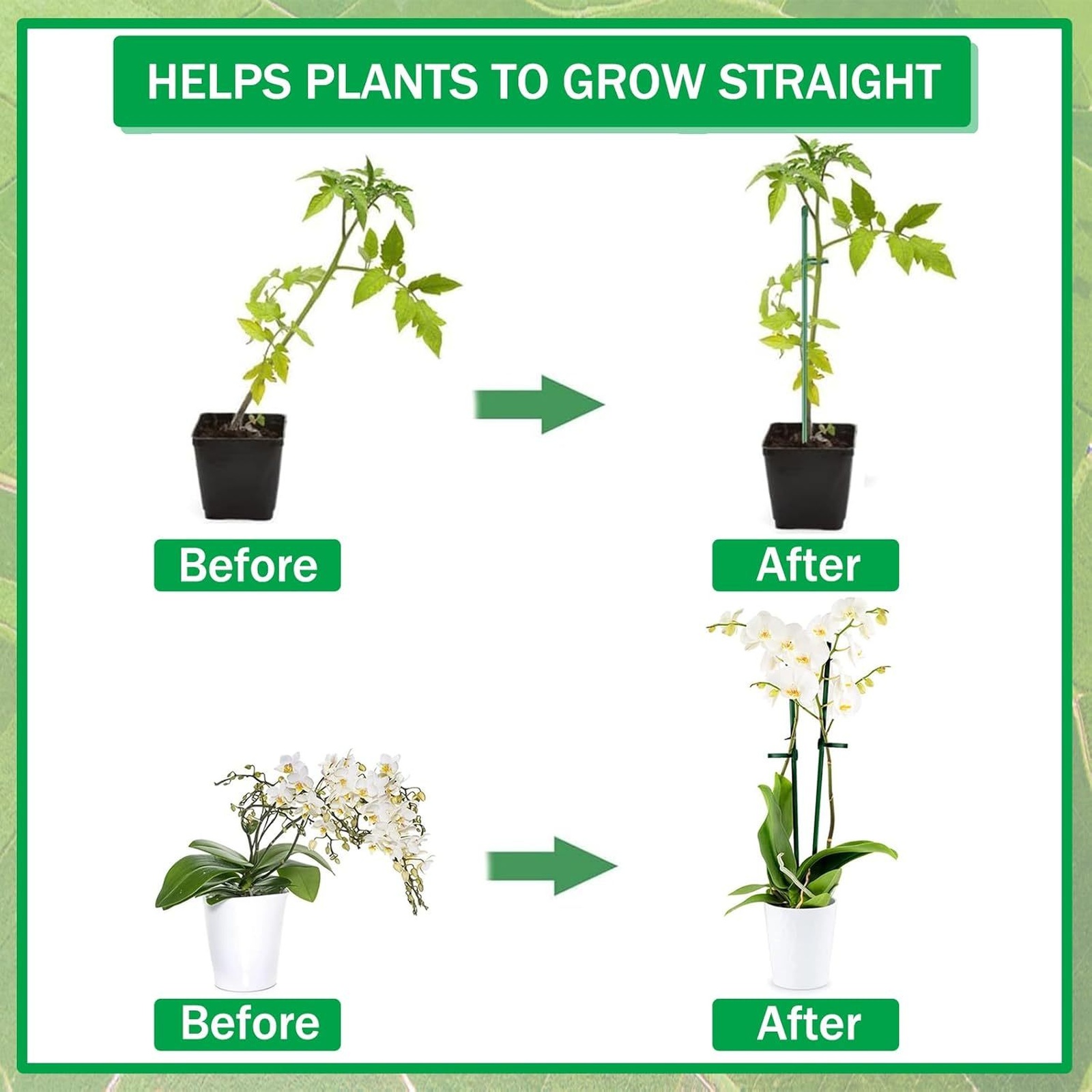 Plant Supports Rod Single Stem - Supply For Florist review and price