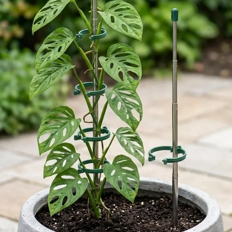 5/1PCS Retractable Plant Suppo - Supply For Florist review and price