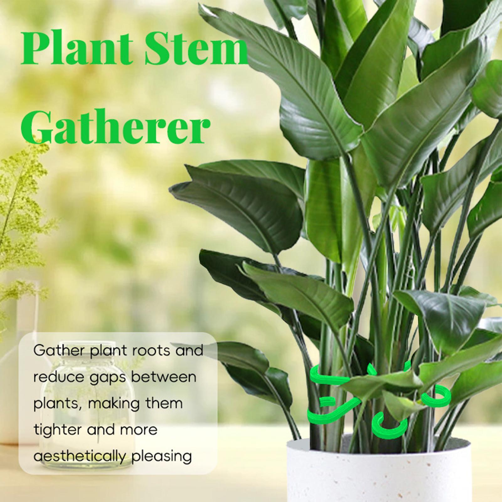 4pc Plant Fixing Clip Plant Cl - Supply For Florist review and price