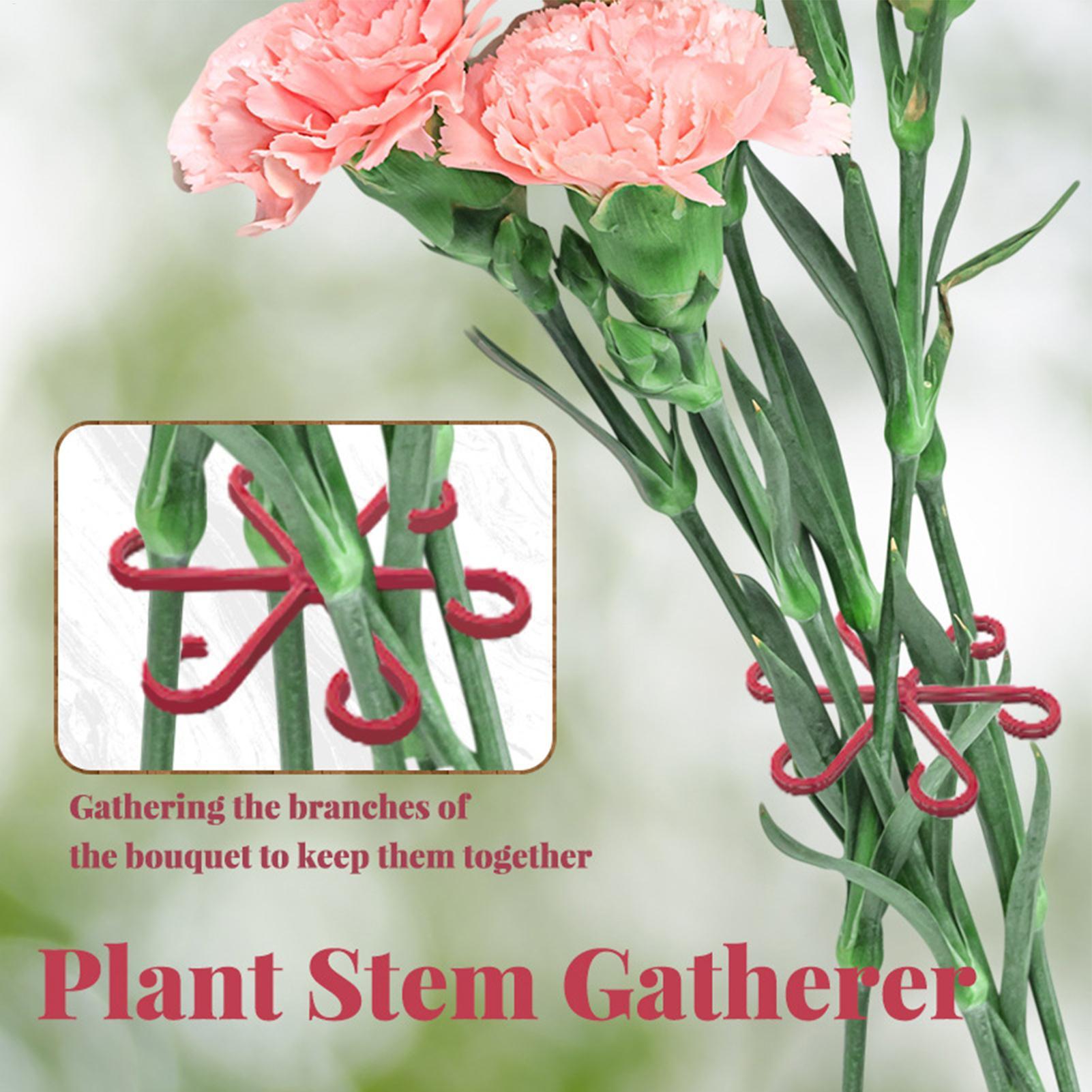 4pc Plant Fixing Clip Plant Cl - Supply For Florist review and price