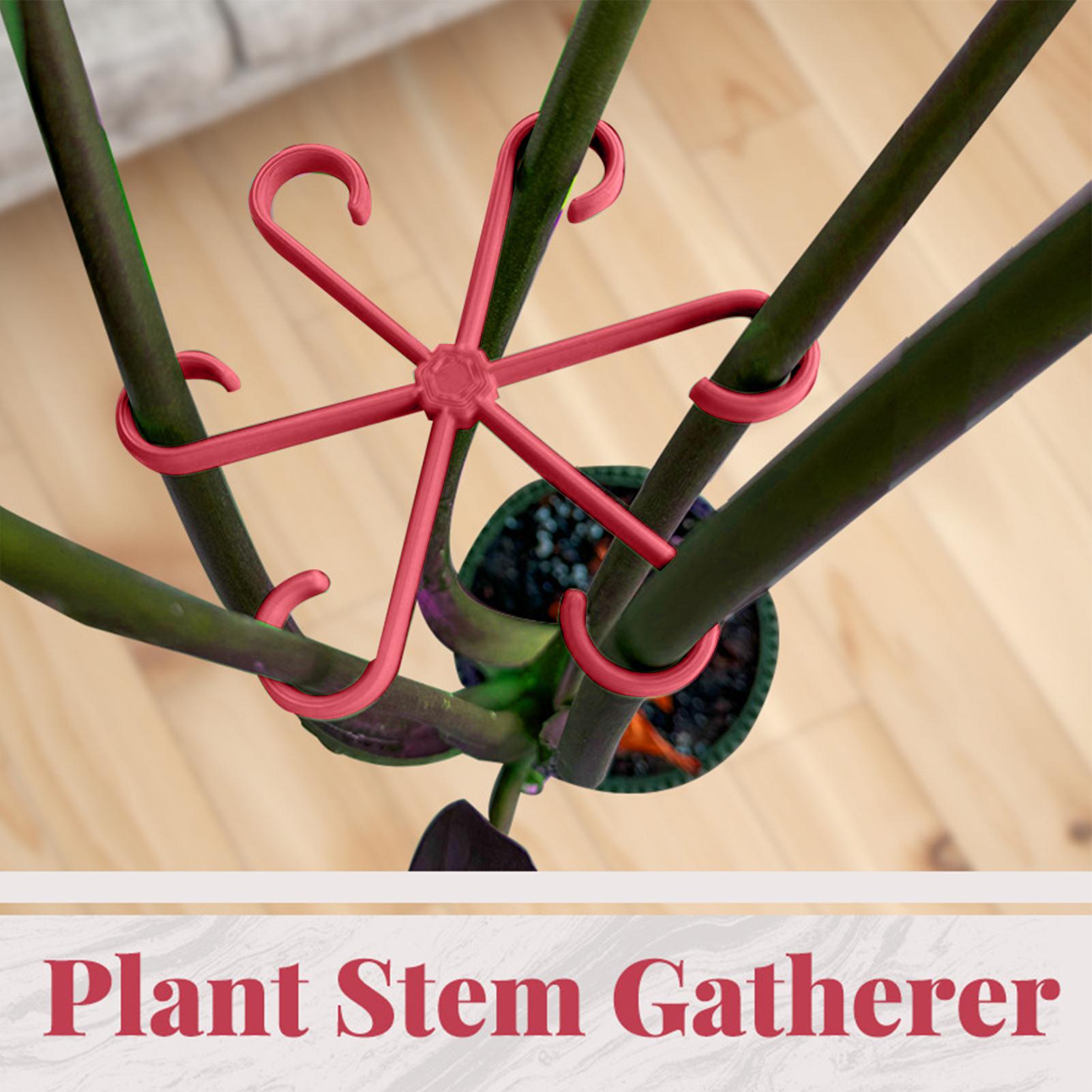 4pc Plant Fixing Clip Plant Cl - Supply For Florist review and price
