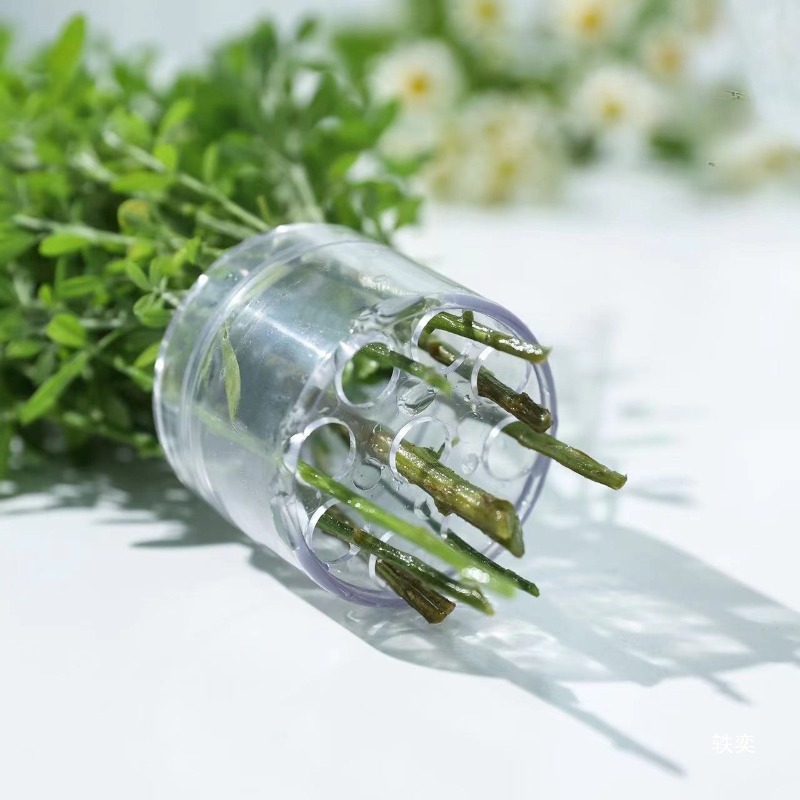 Spiral Stem Holder Sturdy Clea - Supply For Florist review and price